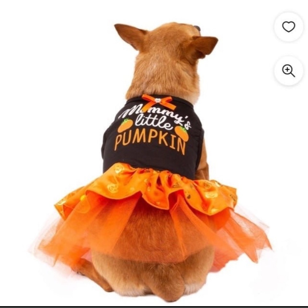 2 pcs Medium Pet Halloween costumes bundle